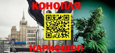 трава Лесосибирск