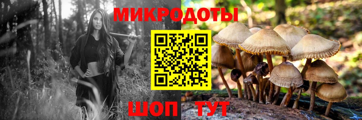 Тула  Псилоцибиновые грибы Psilocybine cubensis  Вход с VPN 